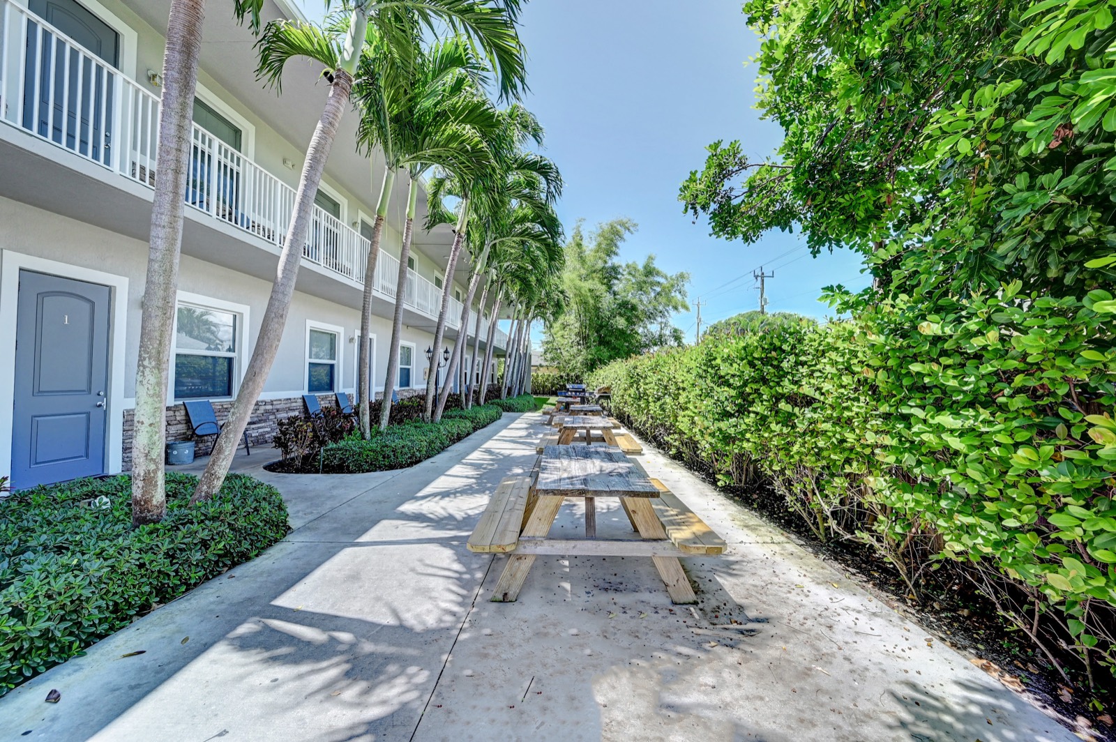 Courtyard walkway at the Ebb Tide residence — palms, picnic tables, second-floor balcony