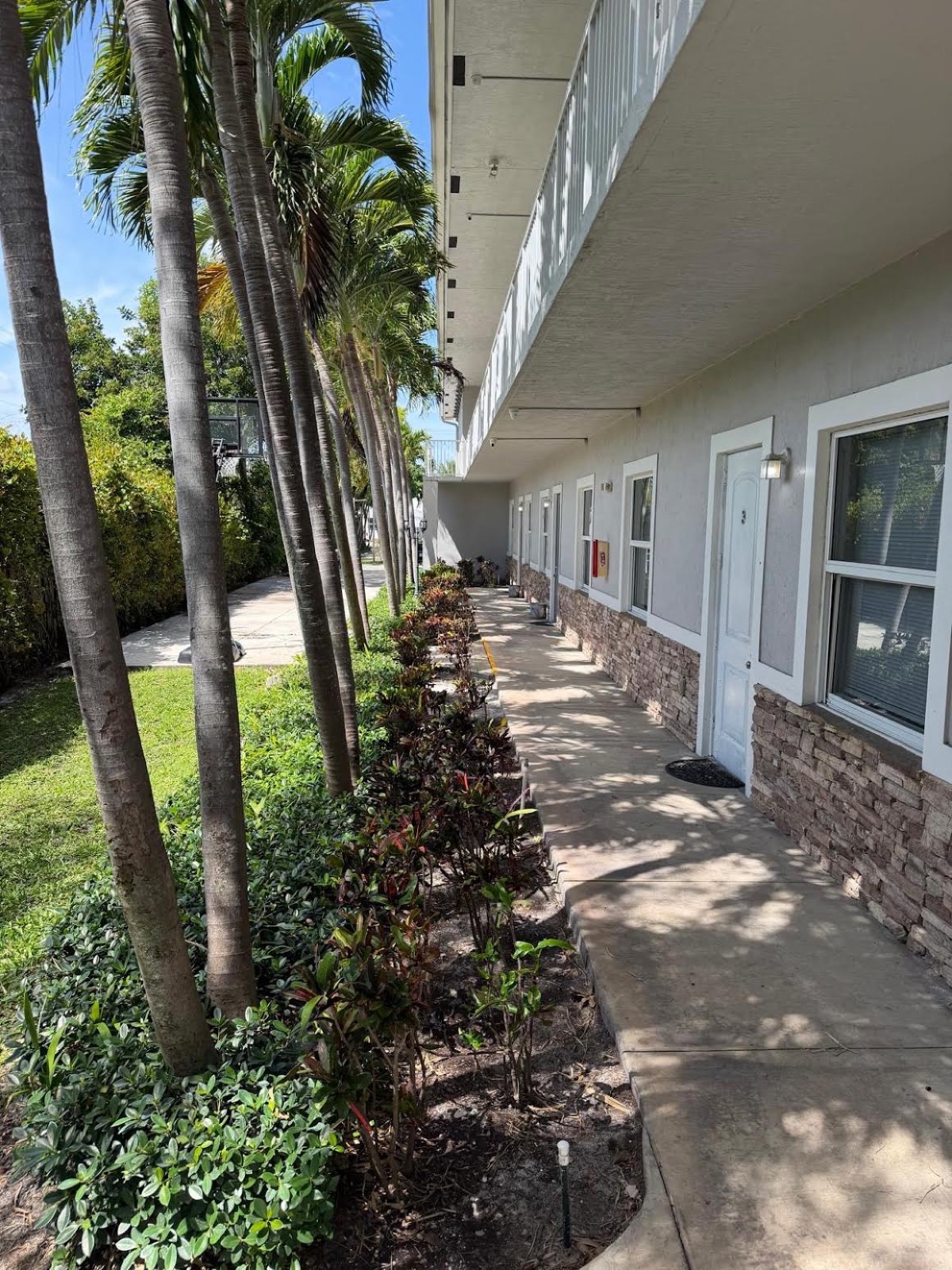Covered walkway lined with palms at the Ebb Tide residence — a quiet outdoor moment